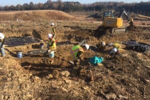Mechanical Stripping of Grave Sites