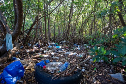 Plastic Waste