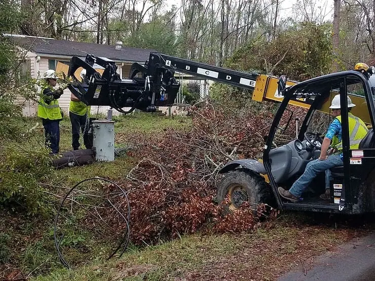 Environmental Cleanup Environmental Cleanup