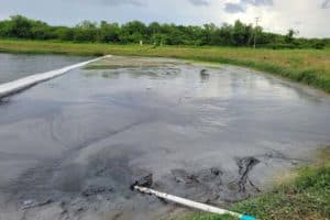 Sewage in the Lake